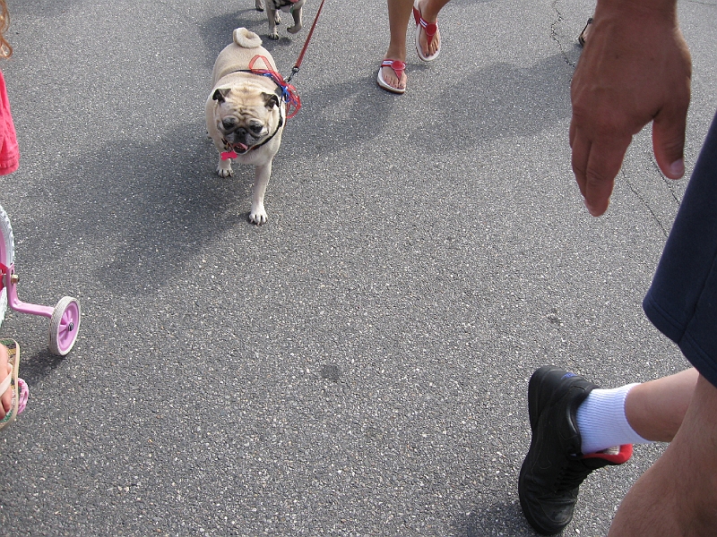 IMG_0099.jpg