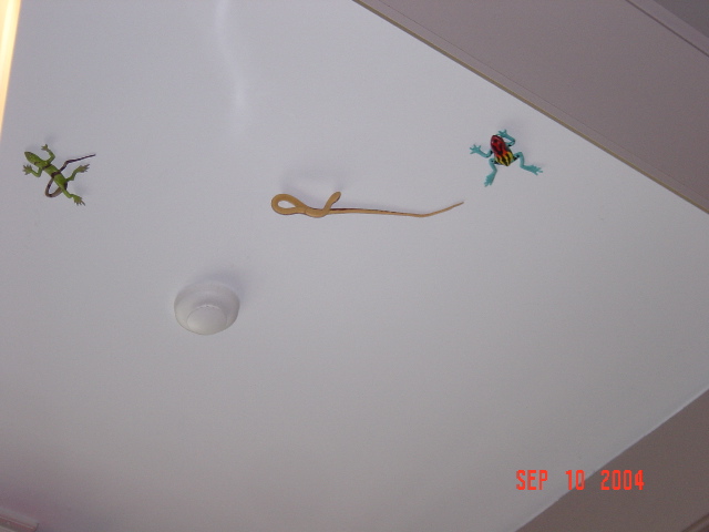 Wedding Photos.9.10.04 057 (23)